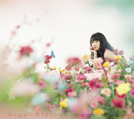 「Angel Blossom」1