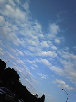 nana_phot_20081015.jpg