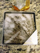 nana_phot_20100623.jpg