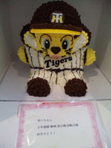 nana_phot_20101211.jpg