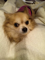 nana_phot_20110228.jpg