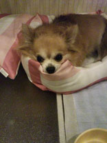 nana_phot_20140510.jpg