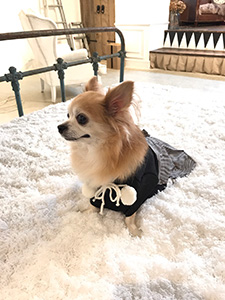 nana_phot_20180101.jpg