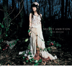 SECRET AMBITION