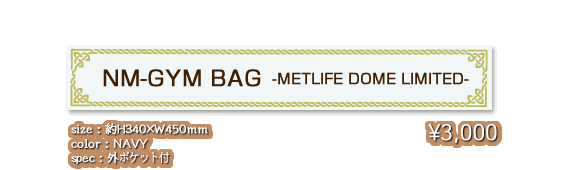 NM-GYM BAG -METLIFE DOME LIMITED-