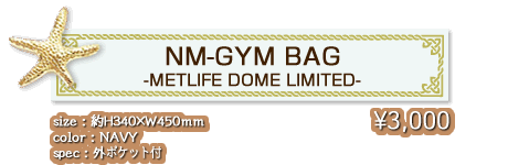 NM-GYM BAG -METLIFE DOME LIMITED-