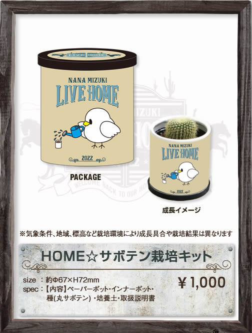 HOME☆サボテン栽培キット